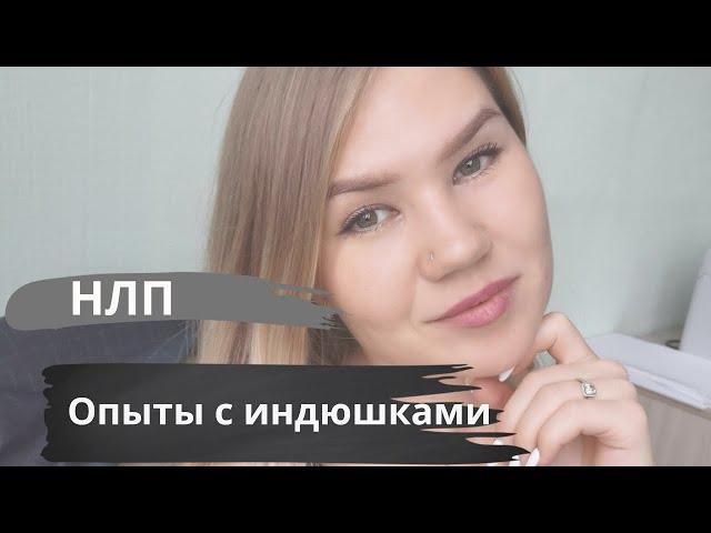 Опыт с Индюшками. Психология влияния Роберт Чалдини.