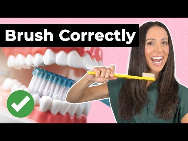 How To Brush Your Teeth Correctly