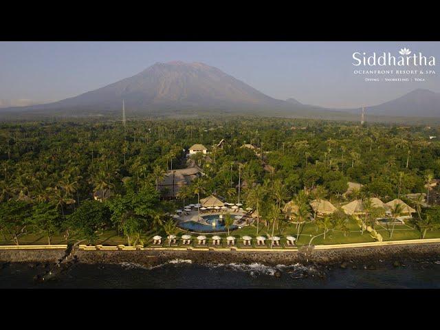 Siddhartha Bali  Virtual Tour