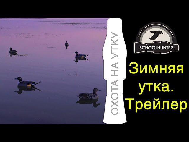 Duck Hunting. Brass Calls lure a duck