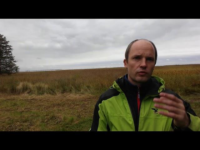 Экскурсия в Парк Сергиевка. Репортаж со дна моря. Экологические экскурсии в Петербурге.