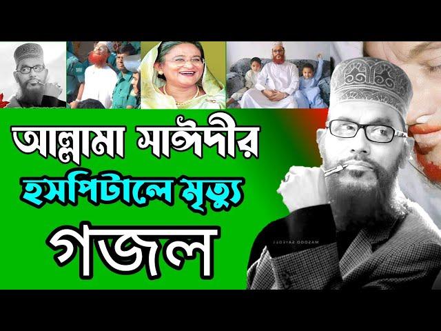 আল্লামা সাঈদী গজল | Allama saidi song | #সাঈদী #সাঈদীর_মৃত্যু_গজল শিল্পী নাজমুল হক