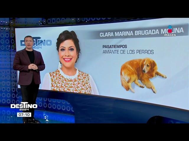 ¿Quiénes son los candidatos a la jefatura de Gobierno de la CDMX? | Noticias con Francisco Zea