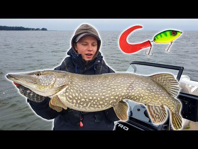 Prespawn pike fishing - the hunt for a dream pike