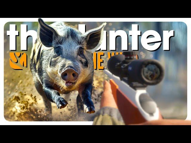 Completely DESTROYING swamp pigs (they oinked at me) | theHunter: Call of the Wild