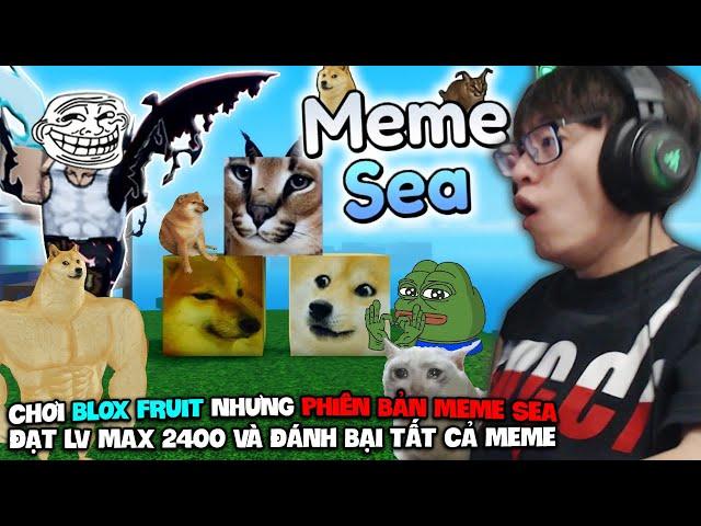 HÙNG AKIRA ĐÃ THẬT SỰ CHƠI BLOX FRUIT PHIÊN BẢN MEME VÀ HÀNH TRÌNH ĐẠT LV 2400 MAX ĐÁNH BẠI MR BEAST