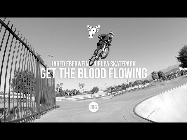 Getting The Blood Flowing at Jurupa Skatepark - Jared Eberwein | Profile X DIG BMX