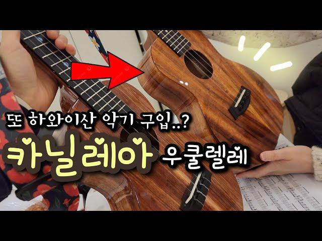 (사치주의) 이번엔 200만원이 넘는 우쿨렐레? 카닐레아 테너 | 하와이 우쿨렐레 | Kanile'a ukulele |