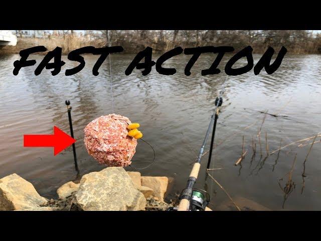 Using BIG Chunks of PACK BAIT for BIG CARP: An EFFECTIVE Strategy!!!