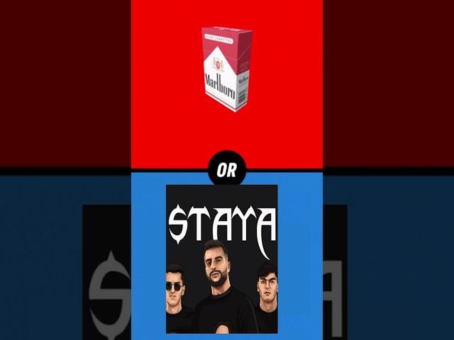 STAYA #steel #ravshann #renatkoo #Staya