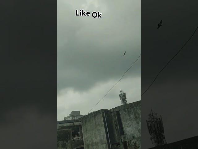 #https://youtube.com/shorts/xysOMG-rTmM?si=3oPbrH8CbFw3JG_E