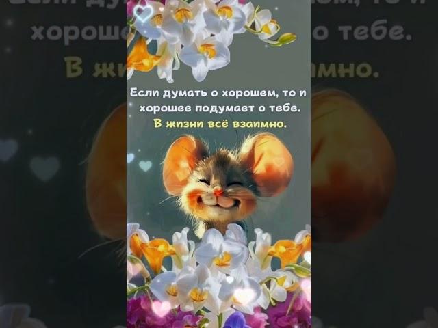 Доброе утро,хорошего дня открытки на каждый день #открытка #доброеутро #видеооткрытка #доброеутречко