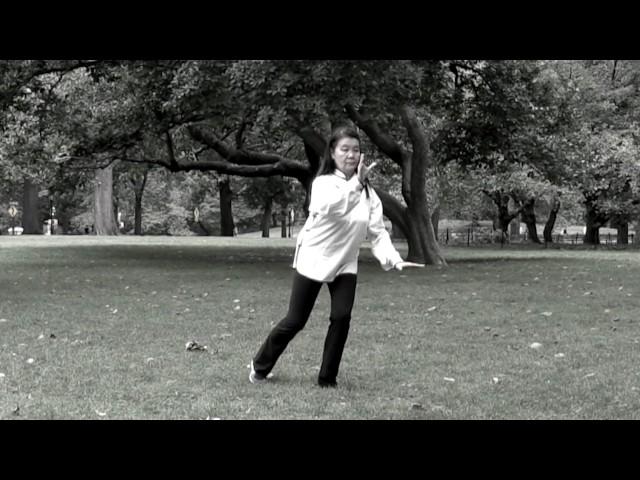 Northern Wu Style Tai Ji Quan   Tina Zhang