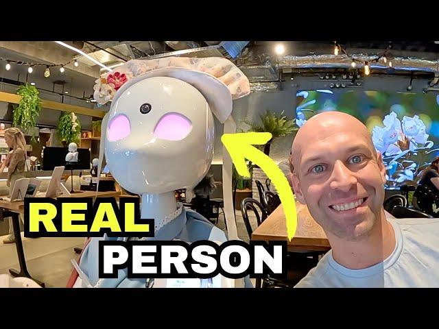 These Japanese Robots Are Not What You Think  (Tokyo, Japan)