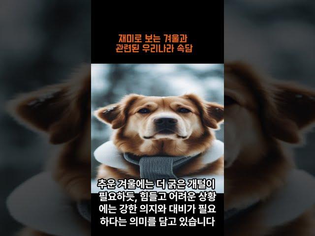 재미로 보는 겨울과 관련된 우리나라 속담