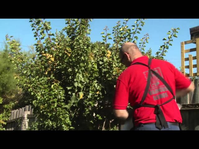 How To Protect Crops From Birds - DIY At Bunnings