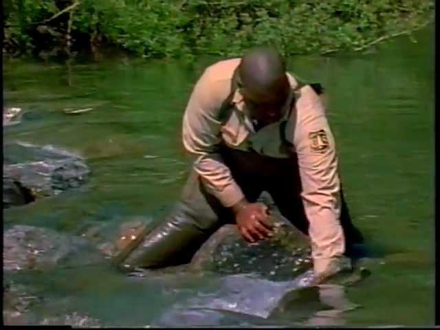 Fish On... Within The Smith River National Recreation Area