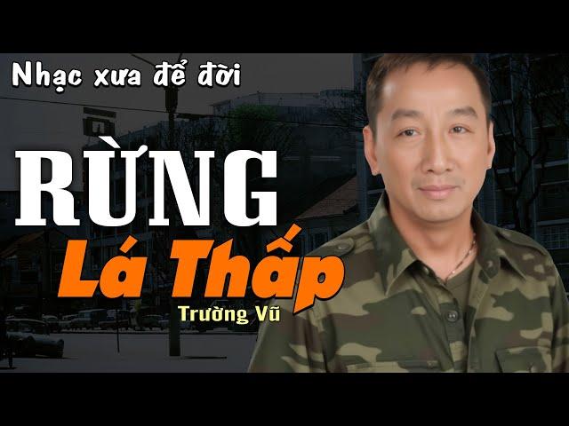 Rừng Lá Thấp - Trường Vũ (Nhạc Xưa) | Nhạc Vàng Xưa Bất Hủ Một Thời