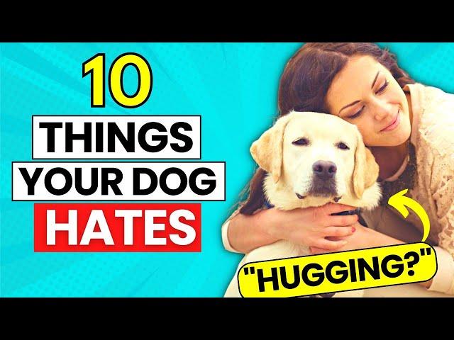 10 Things Your Dog Hates | Hateful Things for Dogs | Makoree Pet Corner