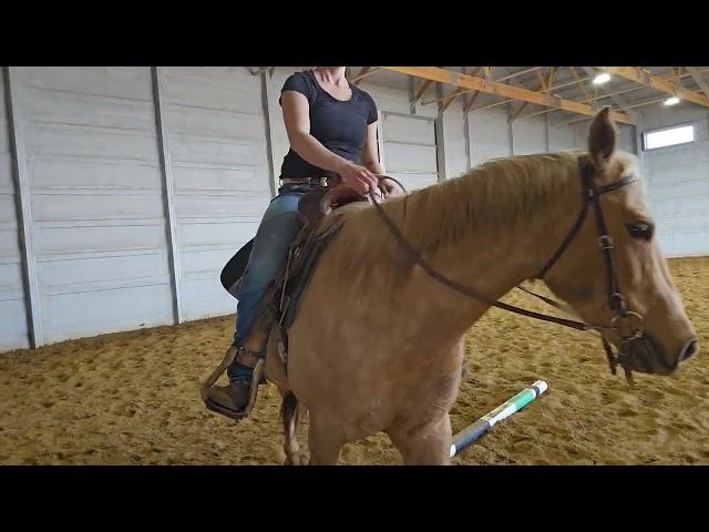 Barbie week 2- softening to bit, stopping/walking transitions with very soft hands