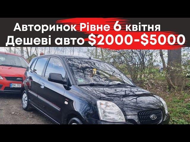 Авторинок Рівне дешеві авто від $2000 до $5000 #авторинокрівне