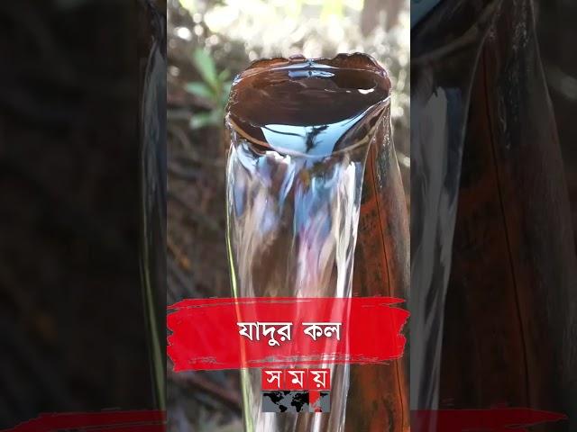 ২৪ ঘণ্টা অনবরত পড়ছে যাদুর কলের পানি!  #sherpur #autotap #shorts #somoytv