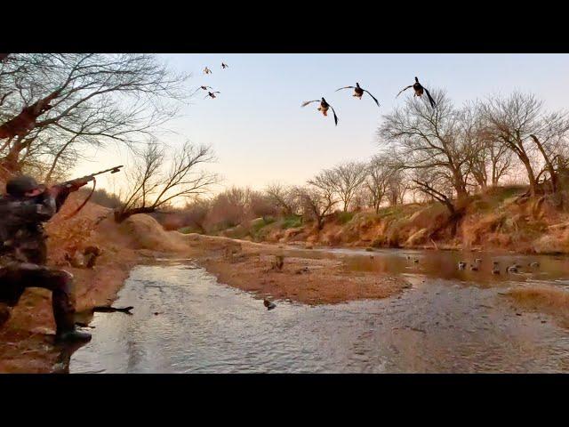 Duck Hunting SKINNY WATER | Decoying MALLARDS In A Tiny Creek