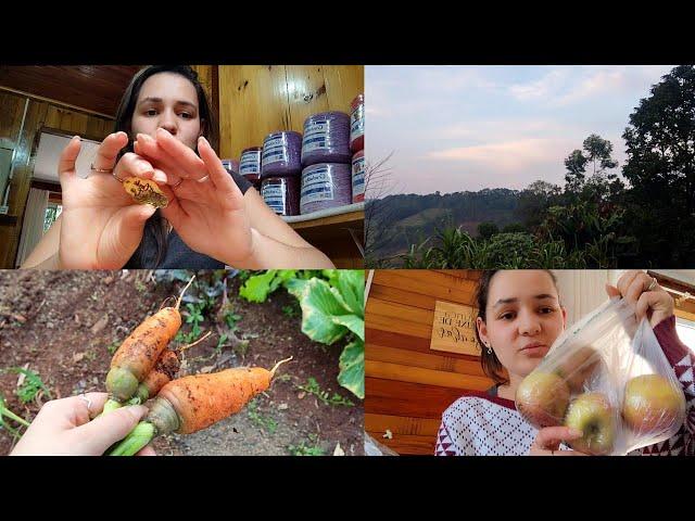 #vlog: minha tarde / muitas encomendas/ vida real