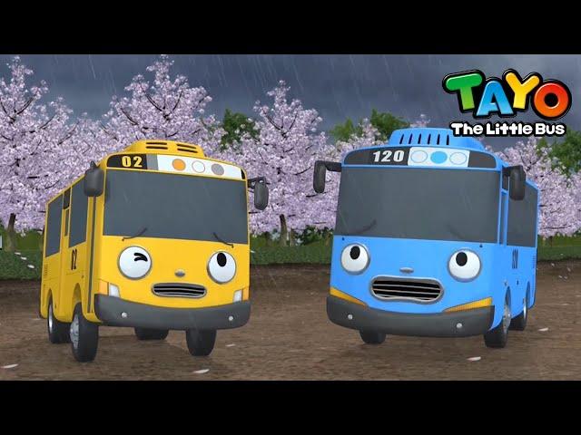 Tayo Bahasa Indonesia Spesial l #60 Iknik Tayo di musim semi l Tayo Bus Kecil
