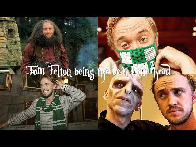 Tom Felton being the best Potterhead for 5 minutes straight