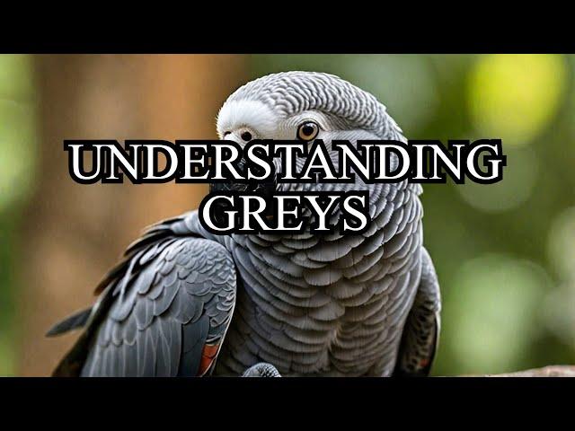 The Hidden Language of African Grey Parrots