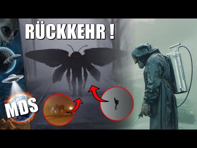 Er ist wieder da! NEUE Mothman Sichtungen kündigen wieder ein großes Unglück an ?