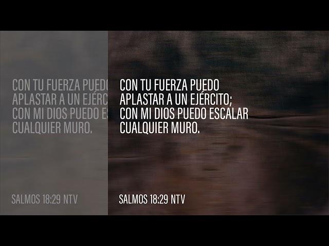 PILDORA DE SABIDURÍA / Reflexión Cristiana