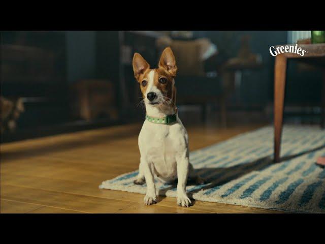 Greenies Dental Treats for Dogs | Keep Your Pup’s Teeth Clean & Healthy | TV Commercial #greenies