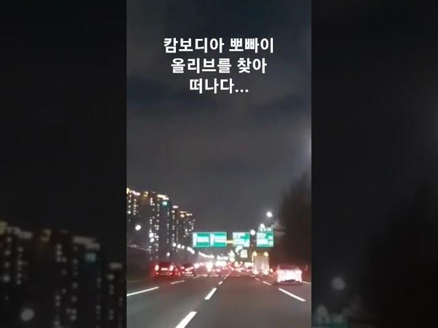 #캄보디아카지노 #아바타게임 #생활바카라 #시스템게임 #온오프라인게임