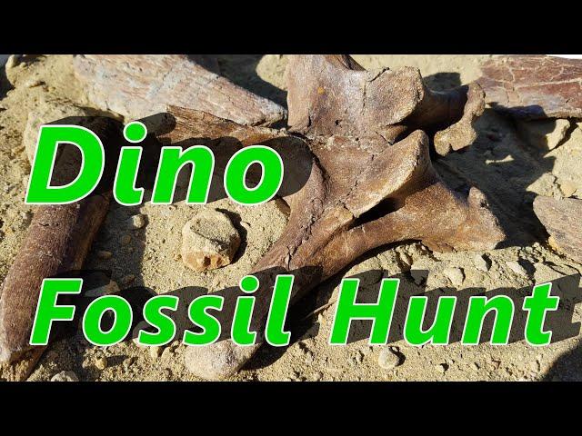 Hunting Dinosaur Fossils in South Dakota Hell Creek Formation