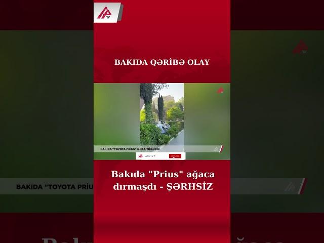 Bakıda "Prius" ağaca dırmaşdı - ŞƏRHSİZ - APA TV