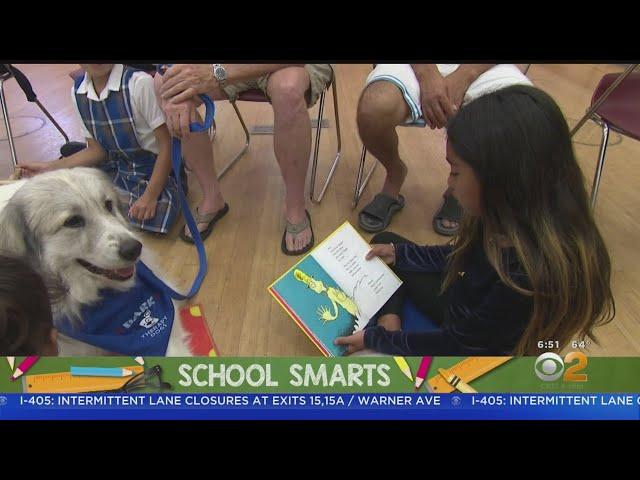 School Smarts: LA Public Library The Best Deal In Town