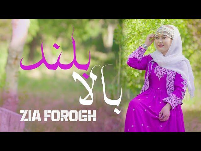 15 June 202424 May 2024 بالا بلند هزارگی ضیافروغ |Balabeland Frogh Hazaragi Song Zia Frogh