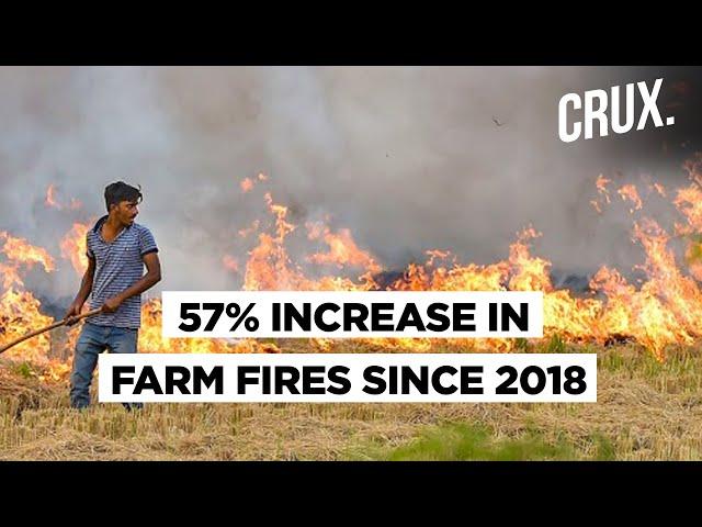 Why Is There An Increase In Punjab Farm Fires This Year?