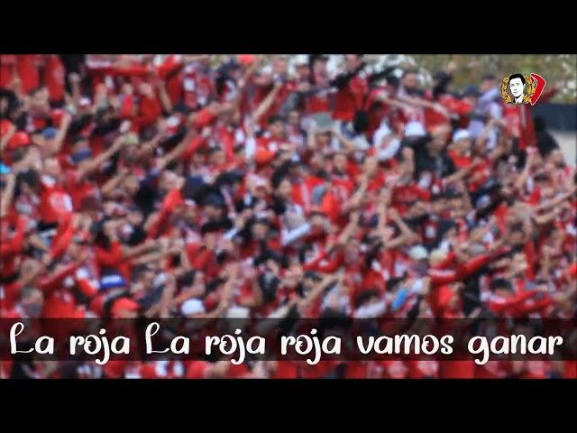 Ultras Fanatic Reds : All in  [ Live ]