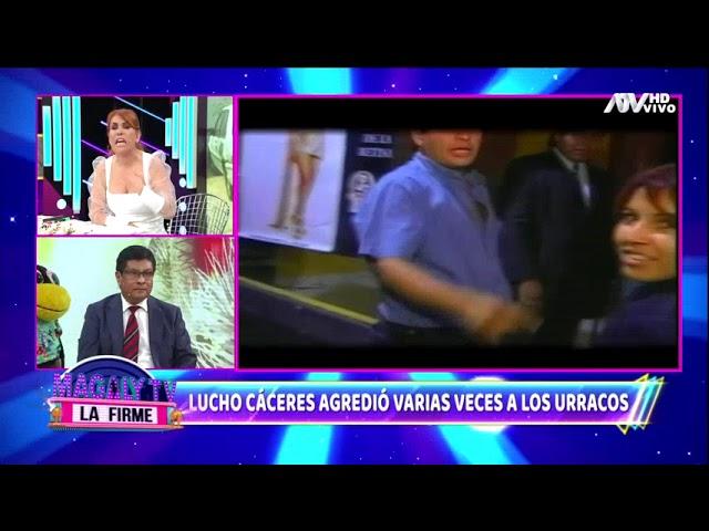 Lucho Cáceres agredió varias veces a los 'urracos' de Magaly Medina