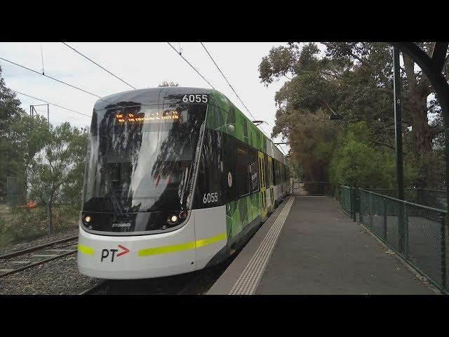 Yarra Trams Melbourne Sports & Aquatic Centre (MSAC) Station