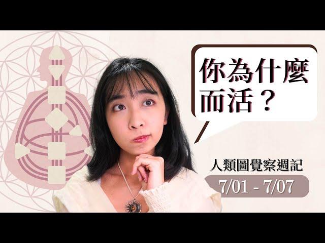 重點不是行動，而是往哪行動｜07/01-07/07｜39 號閘門、38 號閘門｜人類圖覺察週記