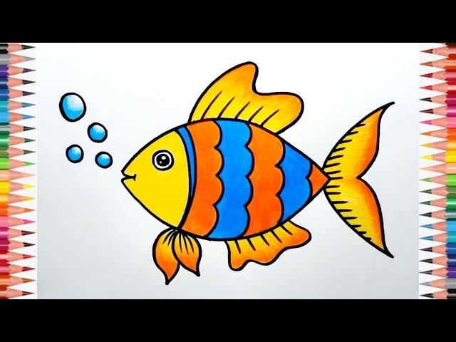 Fish Drawing For Beginners || How to Draw Fish Step By Step || Easy Fish Drawing With Colour..