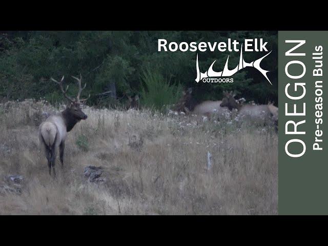 Pre-Season Roosevelts | ep. 2