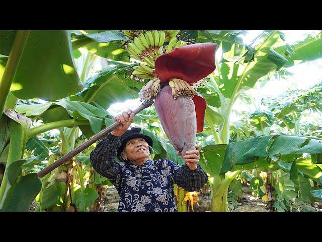 香蕉花還能這樣吃？很多人見過，但沒吃過的農村特色菜Guangxi grandma uses banana flowers to make Chinese food ｜广西 美食｜ 玉林阿婆