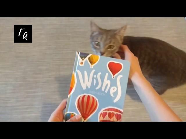 Дневник желаний блокнот Wish book