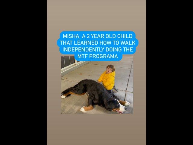 Misha, a 2-year-old, mastered independent walking in less than a month with the MTF Program