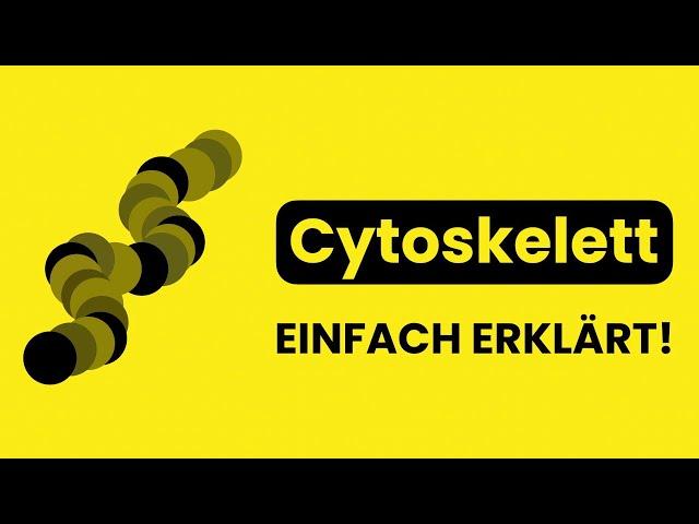 Cytoskelett - Einfach Erklärt | Biologie